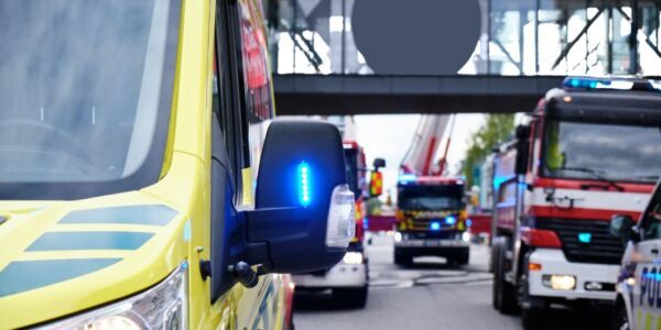 Kuva: Lev Karavanov | Dreamstime.com